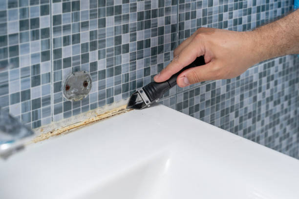 Best White Mold Remediation in Kenosha, WI