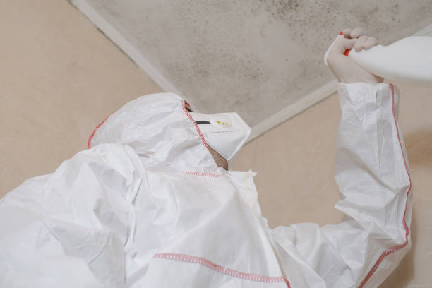 Best Bathroom Mold Remediation in Kenosha, WI